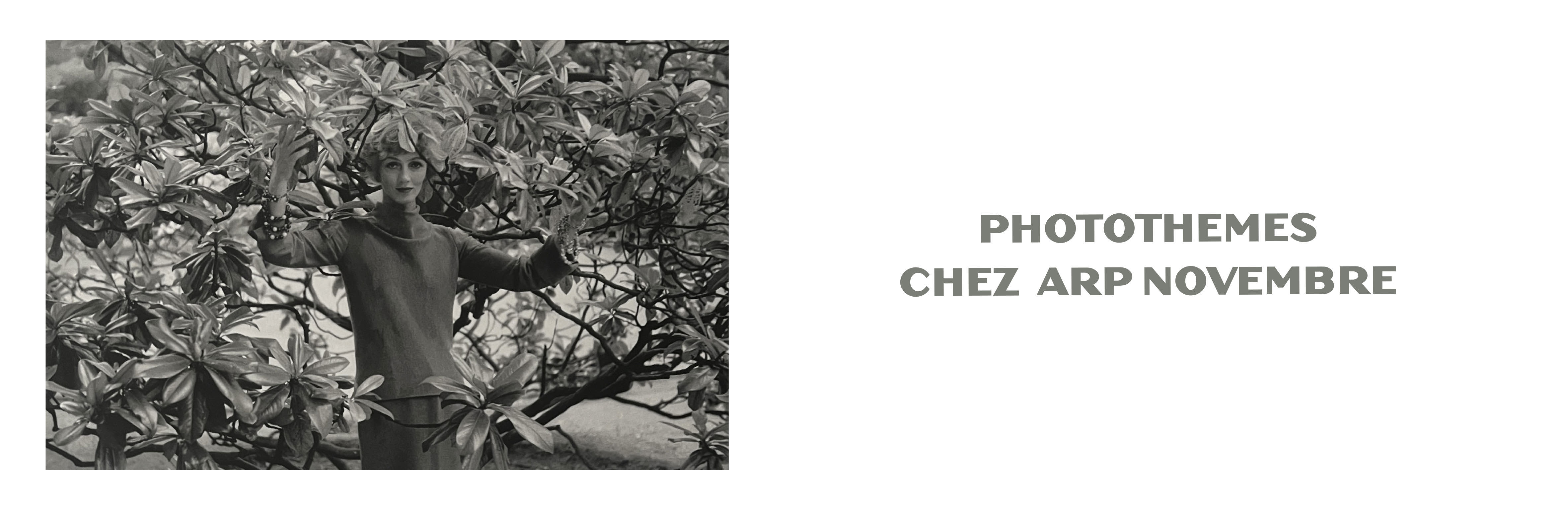 photothemes 2